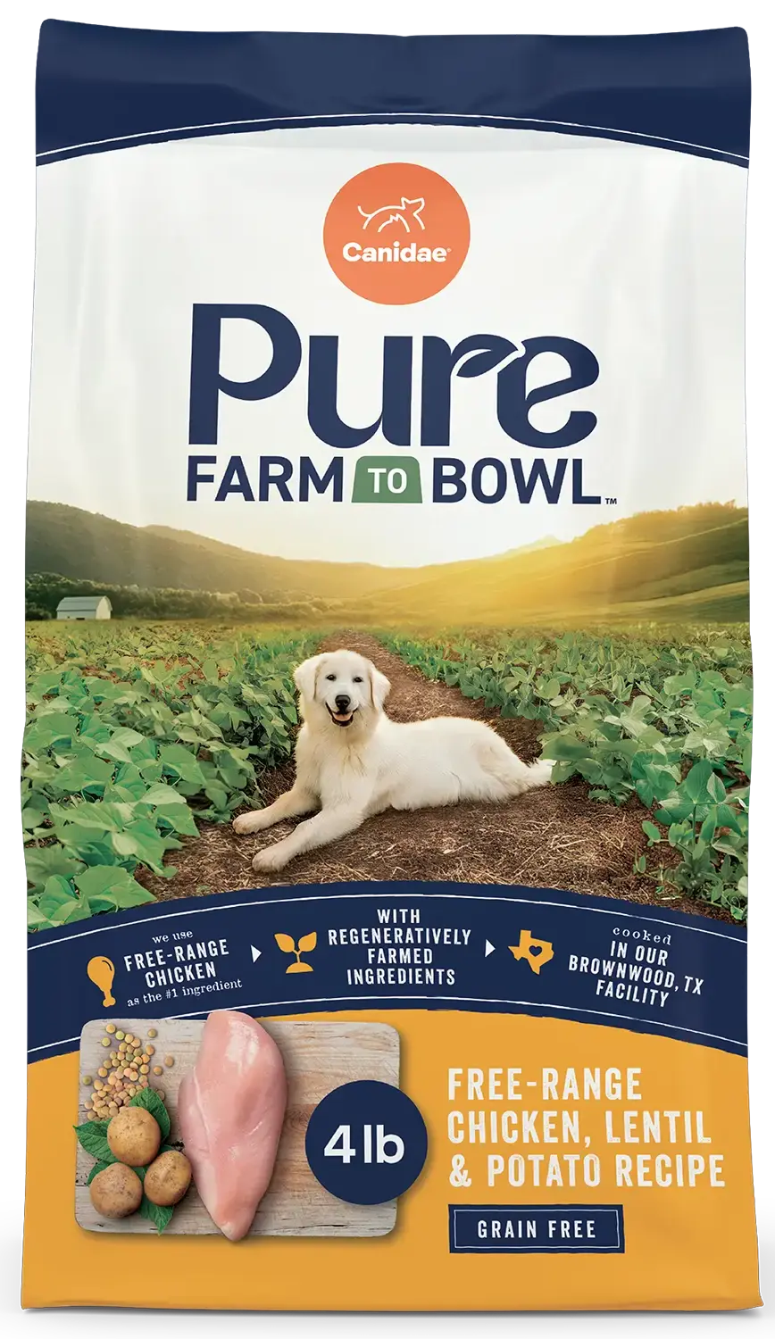 Front of Canidae Pure Goodness Grain-Free Limited Ingredient Adult Dry Dog Food Real Chicken, Lentil & Potato Recipe 4-lb