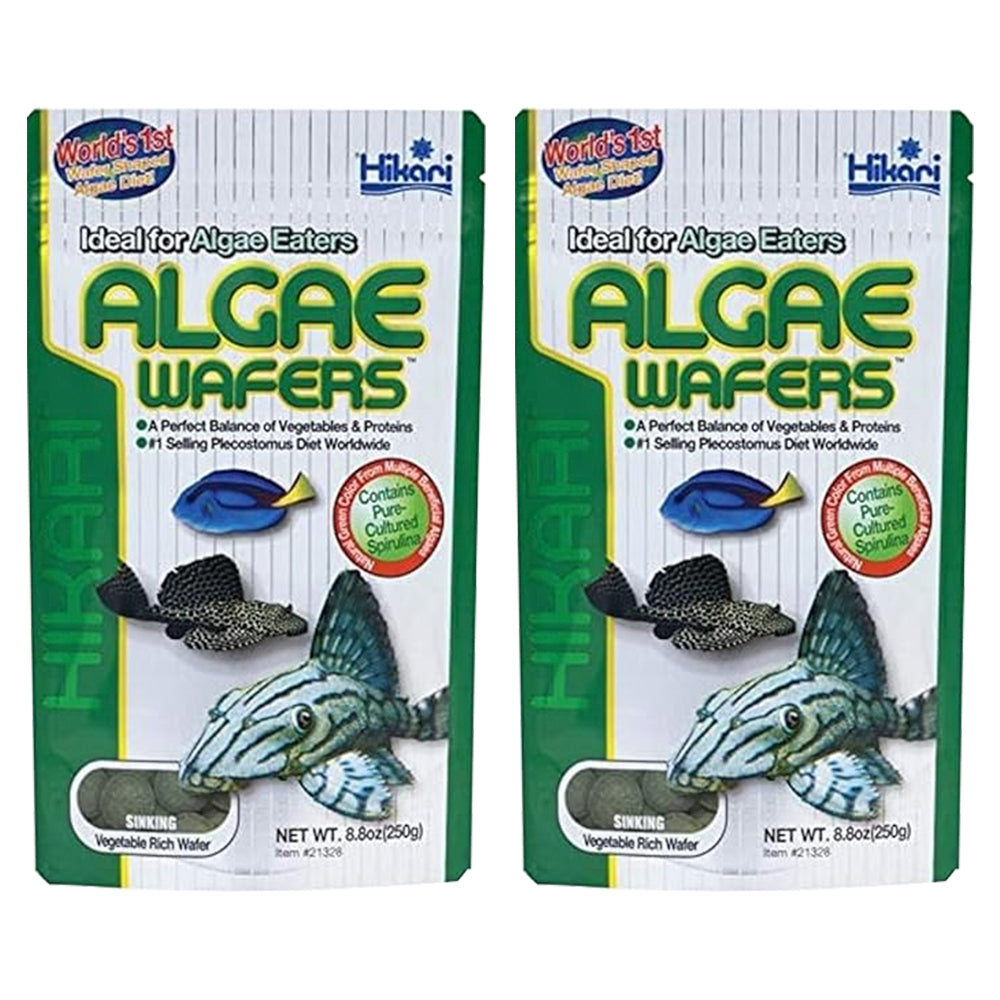 Hikari USA Rapidly Sinking Algae Wafers Fish Food 8.8-oz 2 Pack, Kwik Pets