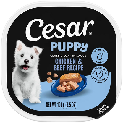 Front of Cesar Classic Loaf in Sauce Puppy Wet Dog Food Chicken & Beef 3.5-oz
