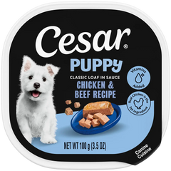 Cesar Classic Loaf in Sauce Puppy Wet Dog Food Chicken & Beef 3.5-oz