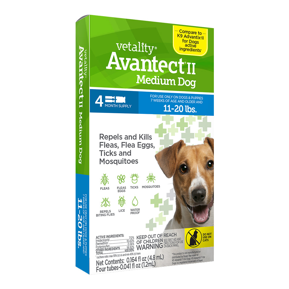 Front of Vetality Avantect II Flea & Tick for Medium Dogs 11-20 lbs 4 Count 0.164-oz