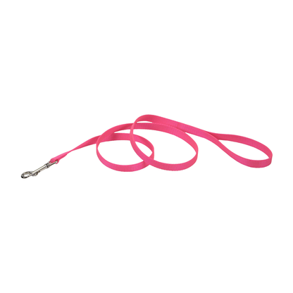 Coastal Single-Ply Nylon Dog Leash Neon Pink 3/8 in X 6 ft