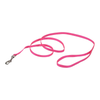 Dog Leash