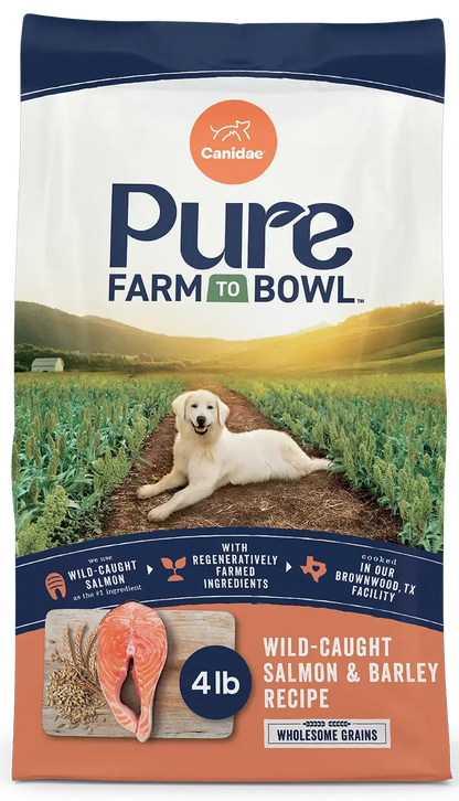 Front of Canidae Pure Goodness Wholesome Grains Adult Dry Dog Food Real Salmon & Barley Recipe 4-lb