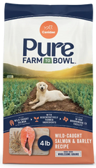 Canidae Pure Goodness Wholesome Grains Adult Dry Dog Food Real Salmon & Barley Recipe 4-lb