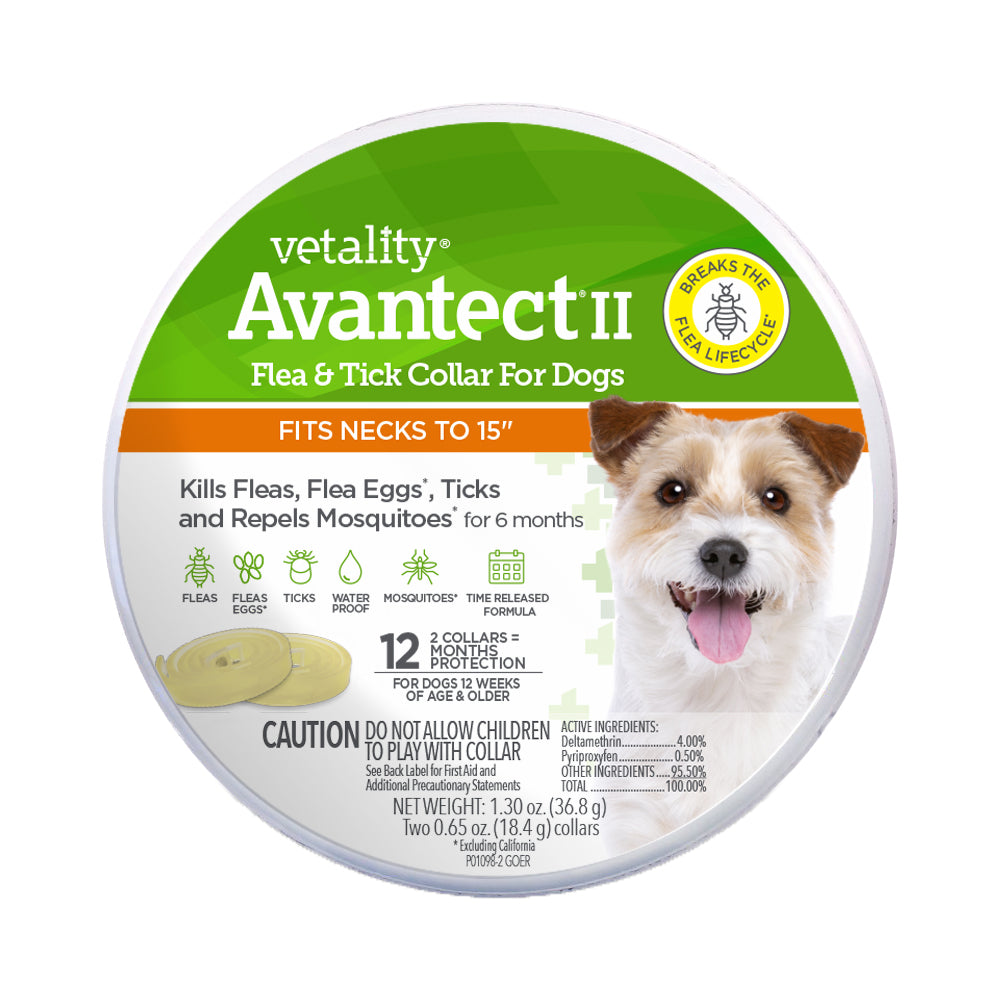 Front of Vetality Avantect II Flea & Tick Collar for Dogs 2-Count 15-in