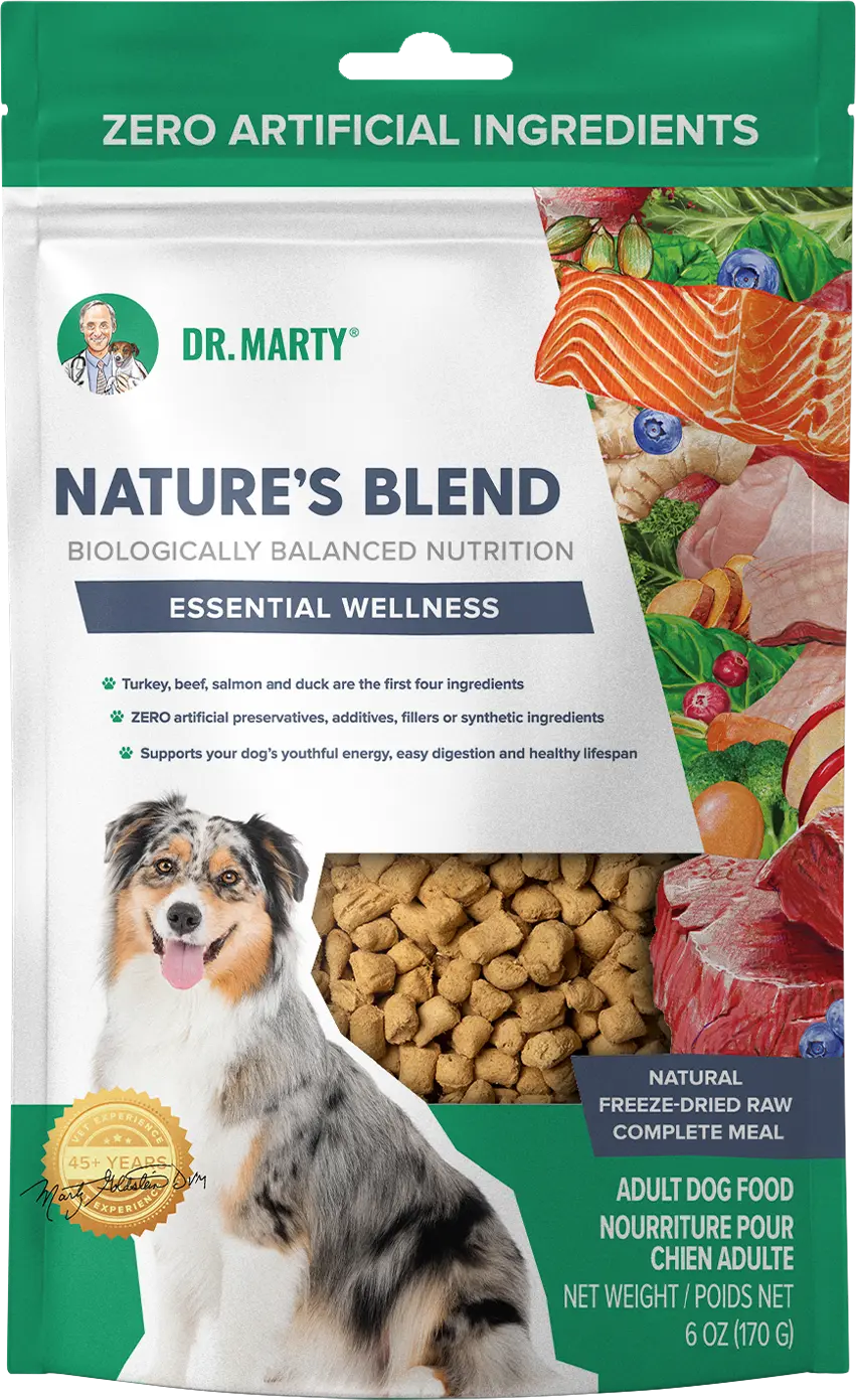 Front of Dr. Marty Nature's Blend Essential Wellness Freeze-Dried Raw Adult Dog Food 6-oz