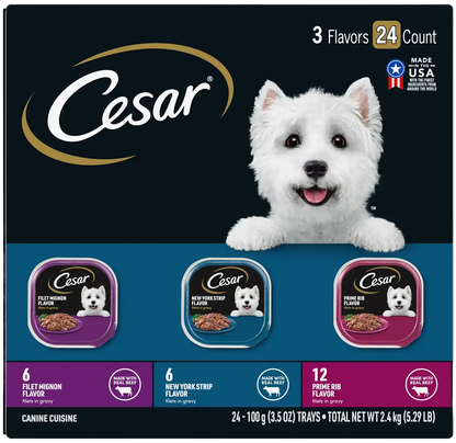 Front of Cesar Filets in Gravy Adult Wet Dog Food Variety Pack Prime Rib, Filet Mignon, New York Strip 24 Count 3.5-oz