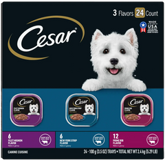 Cesar Filets in Gravy Adult Wet Dog Food Variety Pack Prime Rib, Filet Mignon, New York Strip 24 Count 3.5-oz