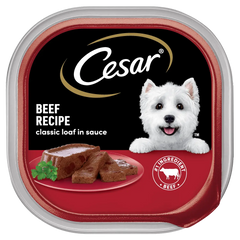 Cesar Classic Loaf in Sauce Adult Wet Dog Food Beef 3.5-oz 24 Count