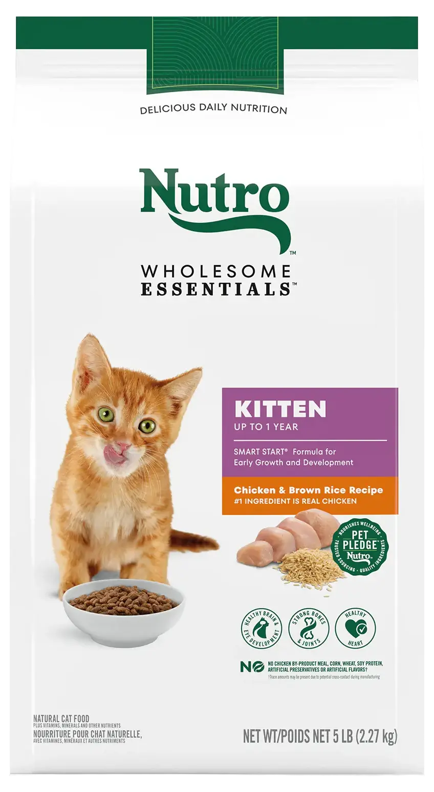 Front of Nutro Wholesome Essentials Chicken & Brown Rice Early Development Kitten Dry Cat Food 5-lb