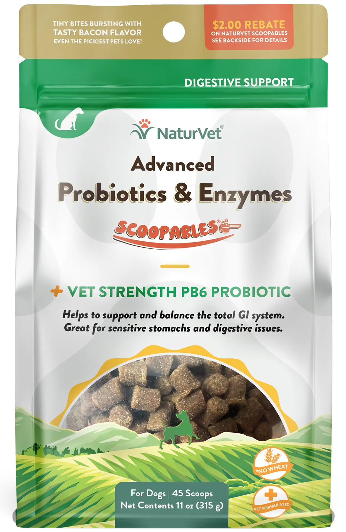 Front of NaturVet Scoopables Advanced Probiotics & Enzymes for Dogs 45 Count 11-oz