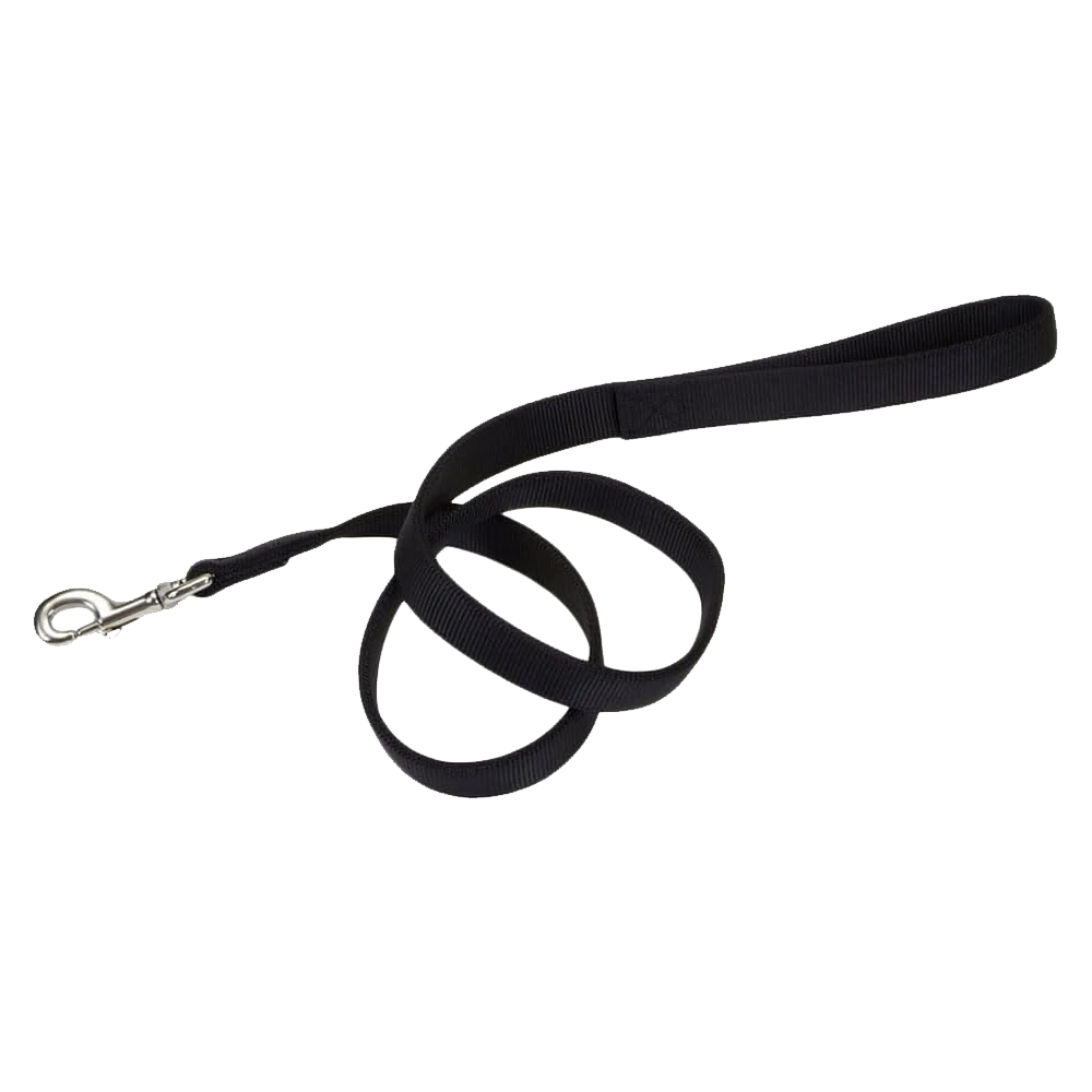 Front of Coastal Double-Ply Nylon Dog Leash Black 1 in X 6 ft