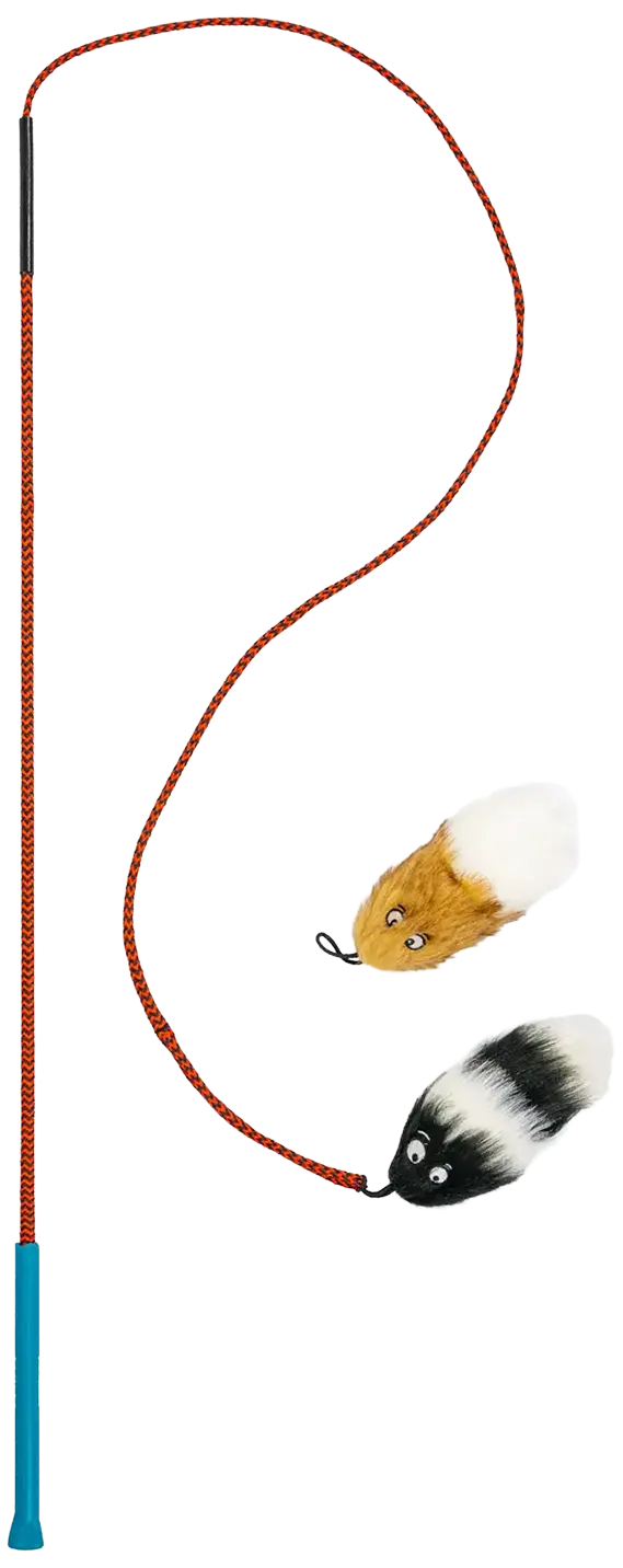 Front of Outward Hound Tail Teaser Dog Wand Toy with Refill Multicolor