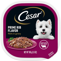 Cesar Filets in Gravy Adult Wet Dog Food Prime Rib 3.5-oz