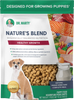 Puppy Dry Dog Food