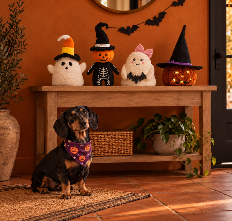 Spooky Decor 🕸️