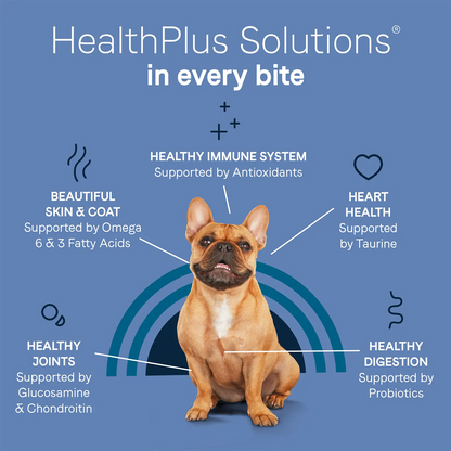 Health Info of CANIDAE PURE Petite Goodness for Small Breed Freeze-Dried Raw Coated Adult Dry Dog Food Chicken 4-lb