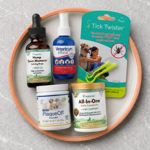 Health & Wellness