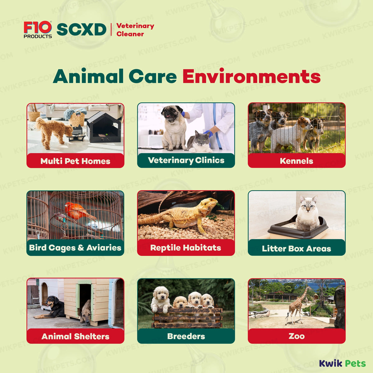 Information of F10SCXD Veterinary Cleanser – Sanitizer 1 liter
