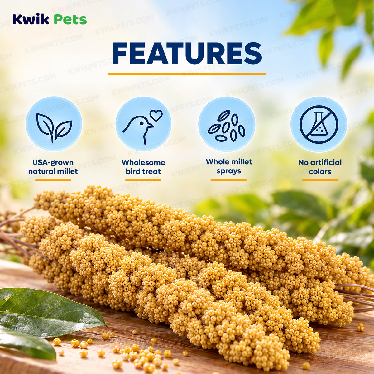 Features of Kaytee Natural Spray Millet Bird Treats 2 Pack