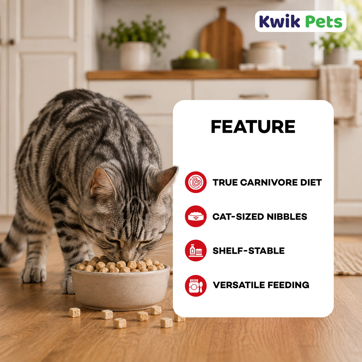 Features of Northwest Naturals Freeze Dried Raw Diet Cat Food Rabbit Recipe 11-oz