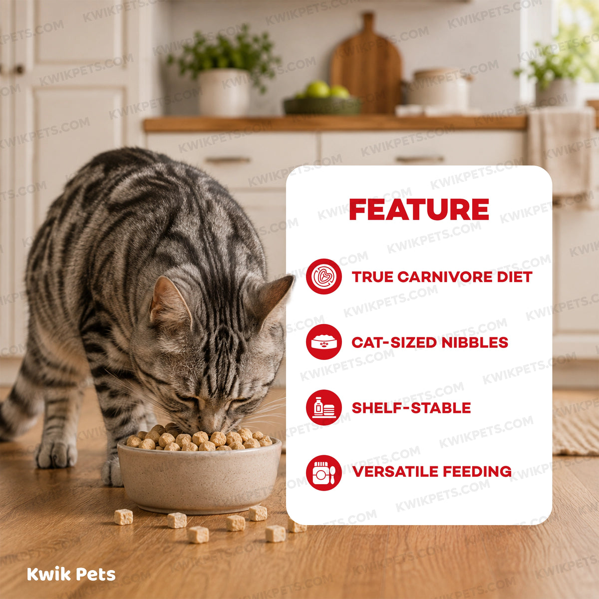 Features of Northwest Naturals Freeze Dried Raw Diet Cat Food Rabbit Recipe 11-oz