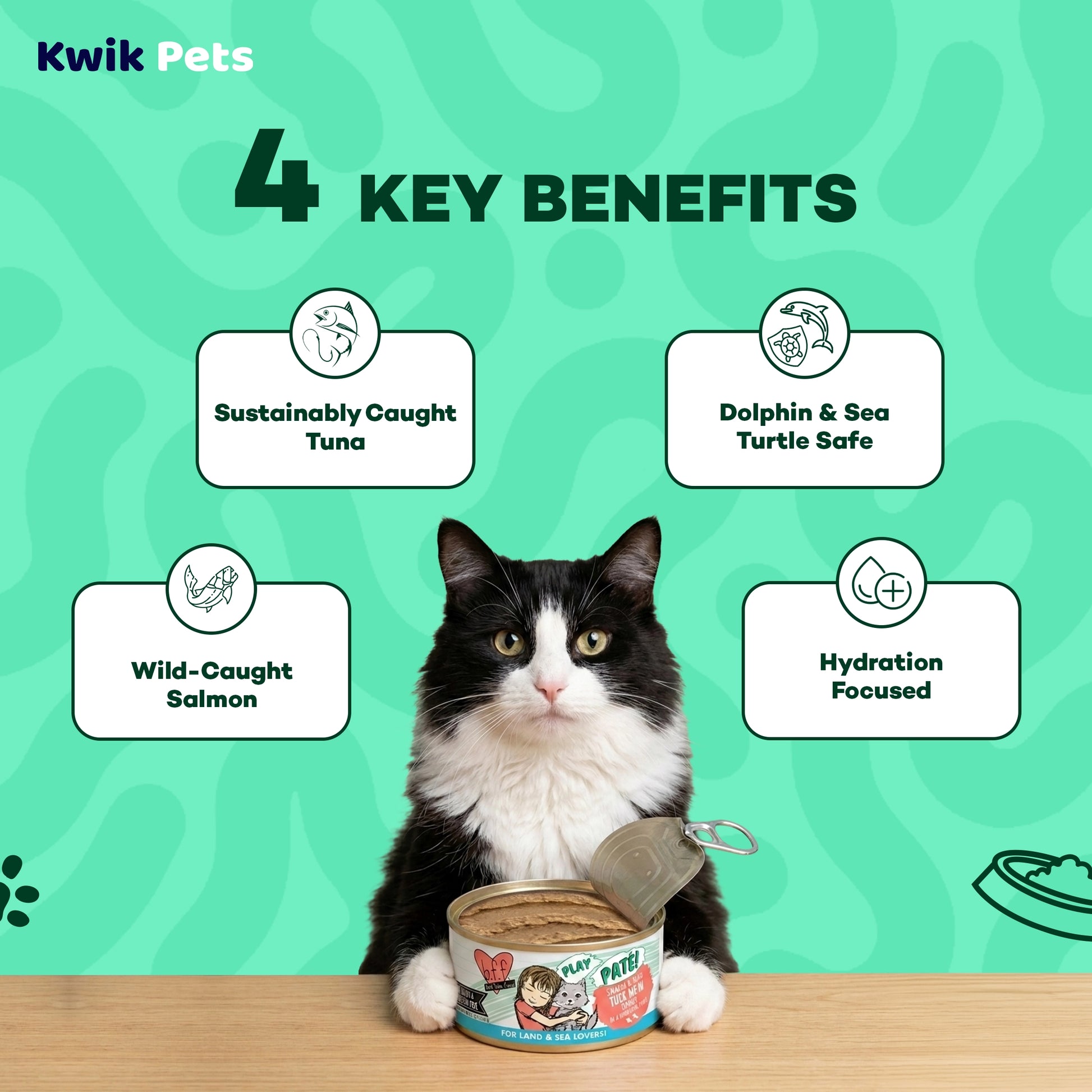 Key Benefits of Weruva B.F.F. PLAY Paté Salmon & Tuna Tuck Me In Dinner in a Hydrating Purée Wet Cat Food 5.5-oz