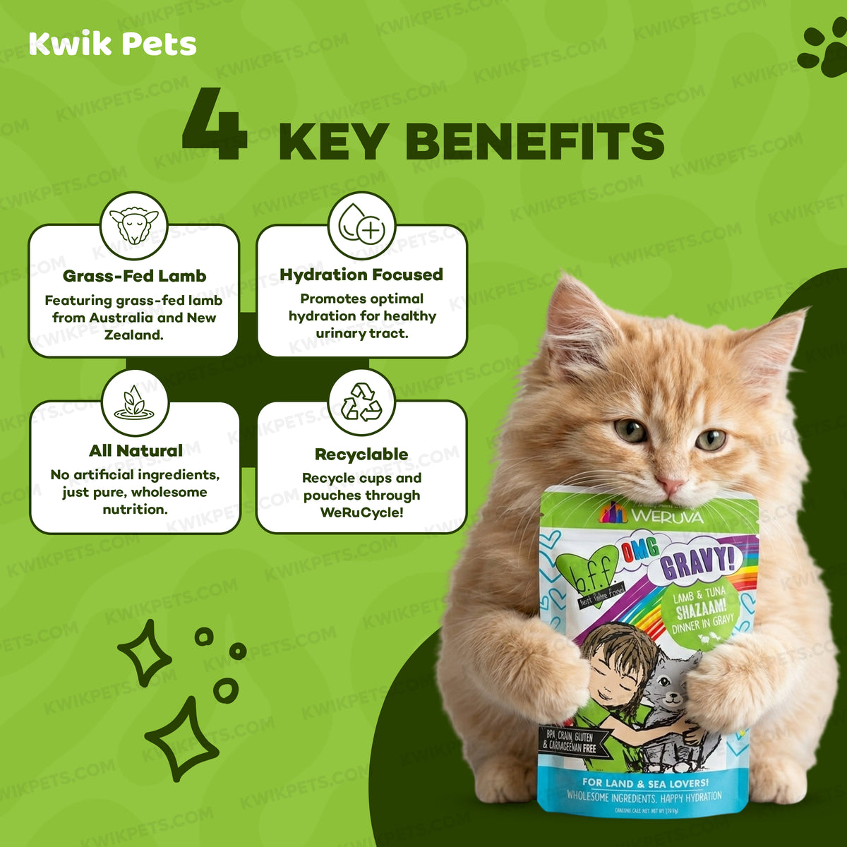 benefits of Weruva B.F.F. OMG Lamb & Tuna Shazaam! Dinner in Gravy Wet Cat Food Pouches 2.8-oz