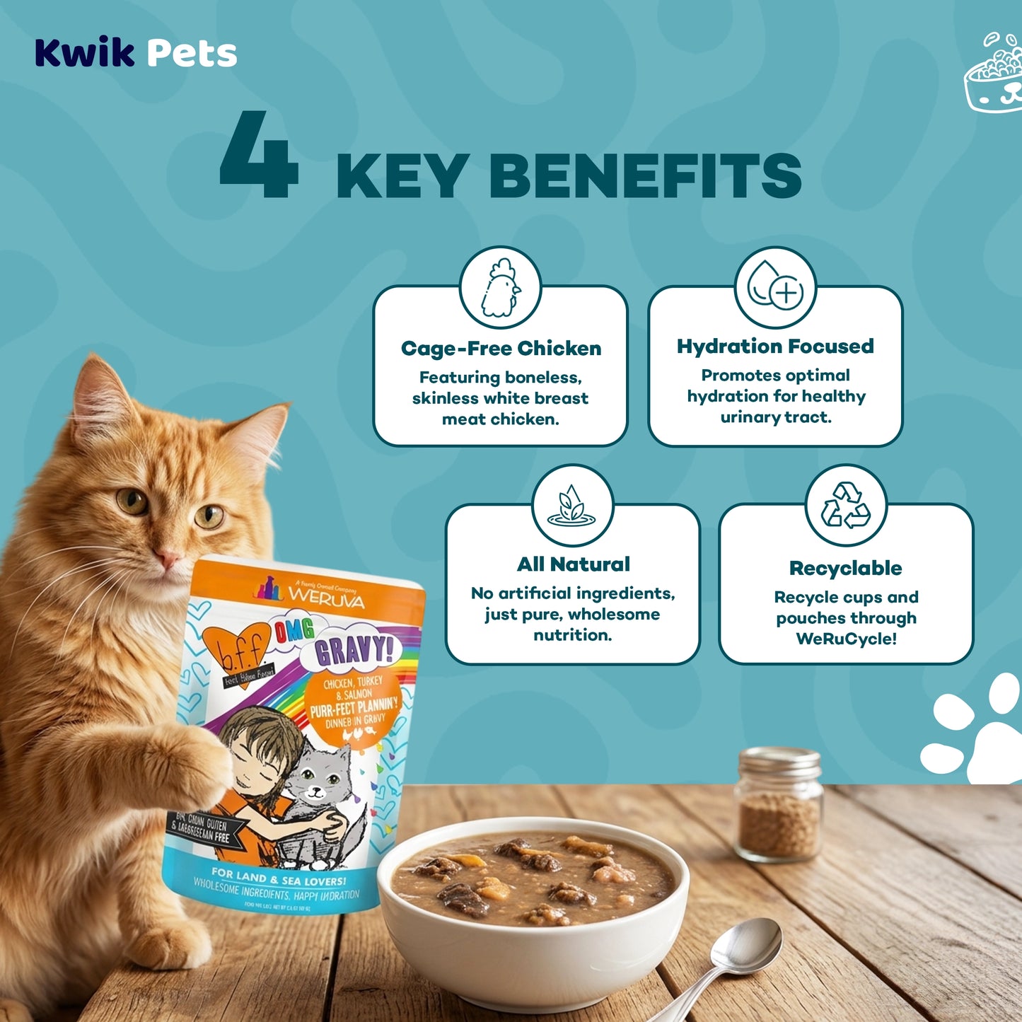 Key Benefits of Weruva B.F.F. OMG Chicken, Turkey & Salmon Purr-Fect Plannin'! Dinner in Gravy Wet Cat Food Pouches 2.8-oz