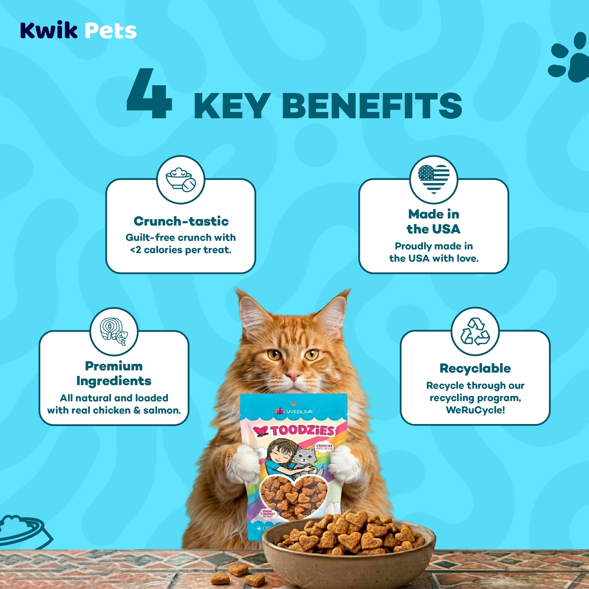Key Benefits of Weruva B.F.F. Toodzies Crunchy Chicken & Salmon Cat Treats 2-oz