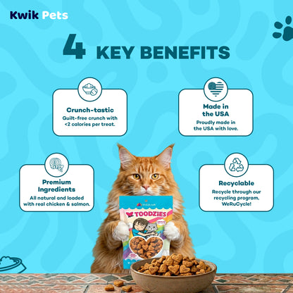 Key Benefits of Weruva B.F.F. Toodzies Crunchy Chicken & Salmon Cat Treats 2-oz