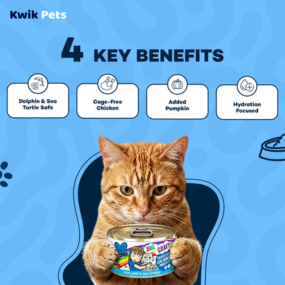 Kay Benefits of Weruva B.F.F. OMG Chicken & Pumpkin Love Munchkin! Dinner in Gravy Wet Cat Food 2.8-oz
