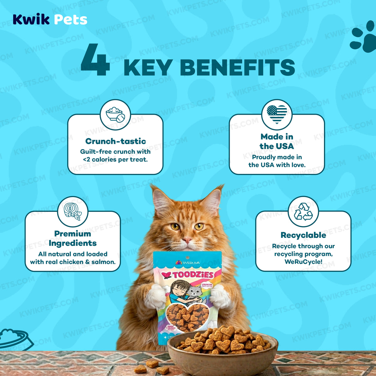Benefits of Weruva B.F.F. Toodzies Crunchy Chicken & Salmon Cat Treats 2-oz