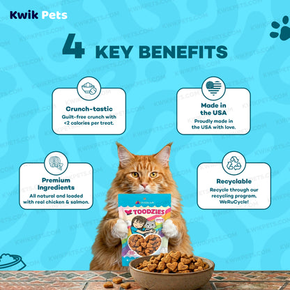 Benefits of Weruva B.F.F. Toodzies Crunchy Chicken & Salmon Cat Treats 2-oz