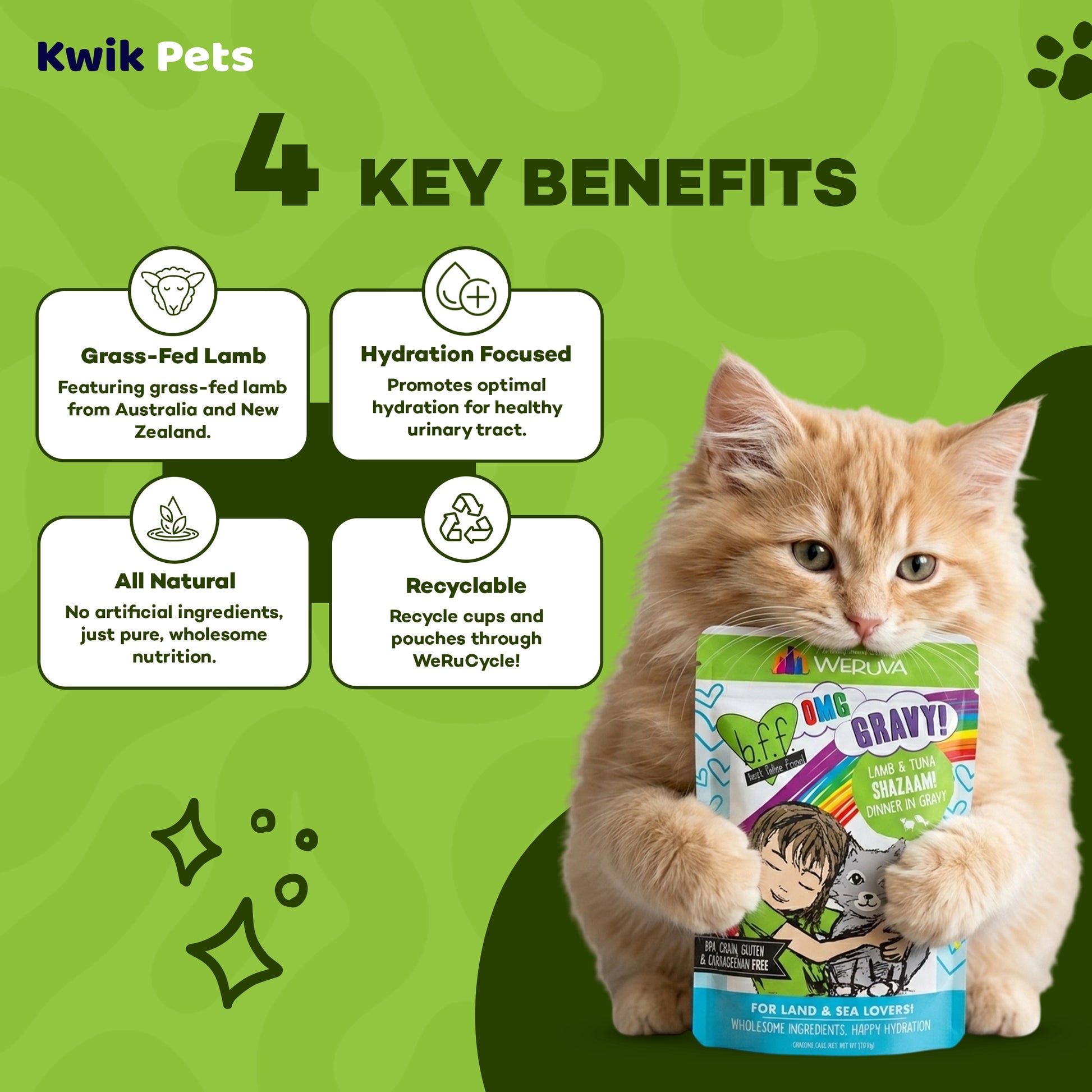 Key Benefits of Weruva B.F.F. OMG Lamb & Tuna Shazaam! Dinner in Gravy Wet Cat Food Pouches 2.8-oz