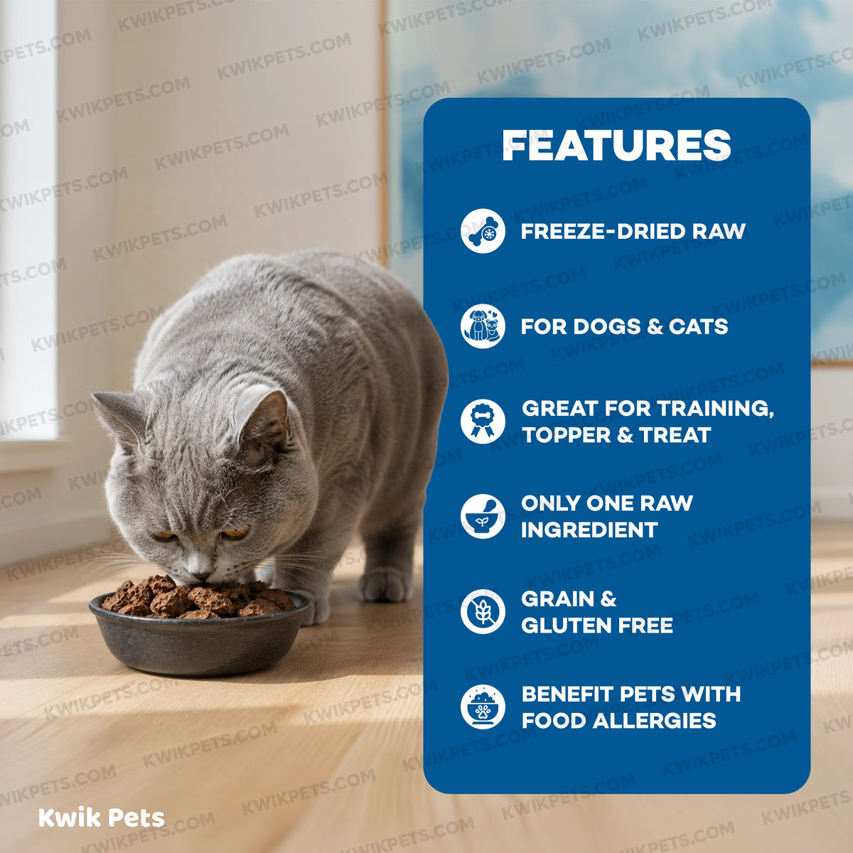Features of Northwest Naturals Raw Rewards Freeze Dried Dog & Cat Treats Chicken Heart 3-oz