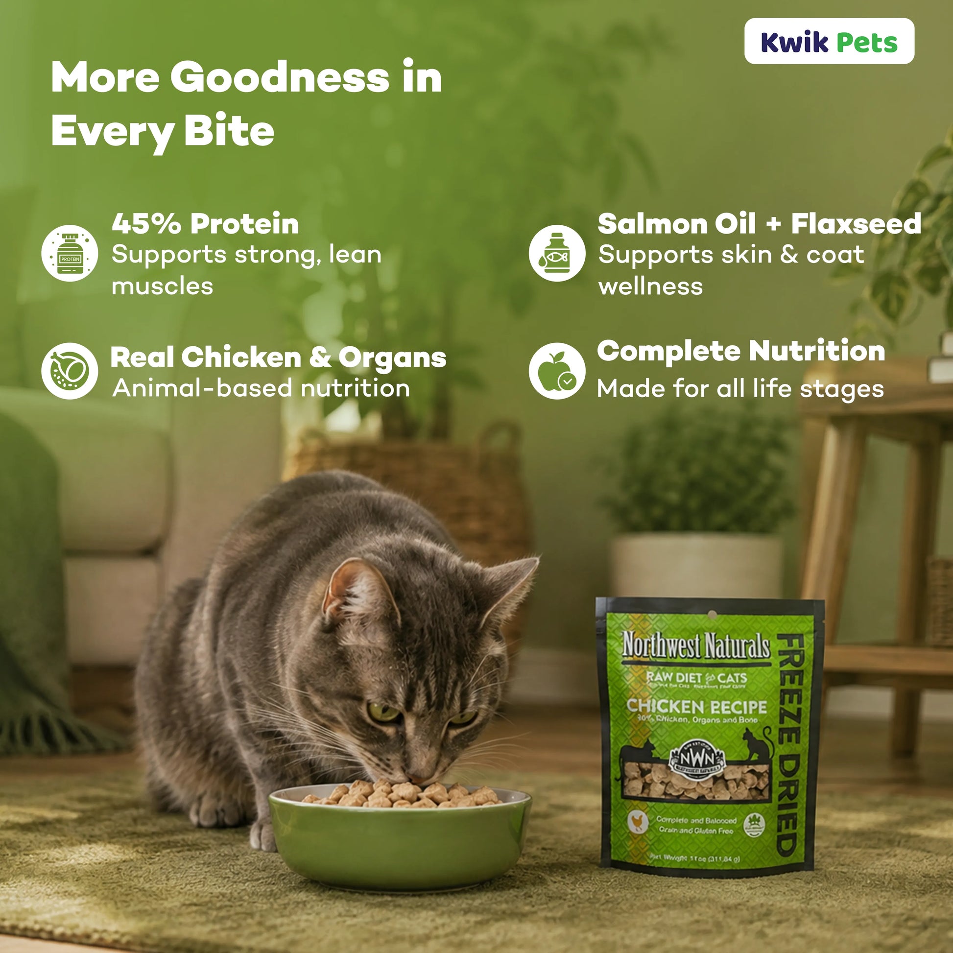Benefits of Northwest Naturals Freeze Dried Raw Diet Cat Food Chicken Recipe 11-oz