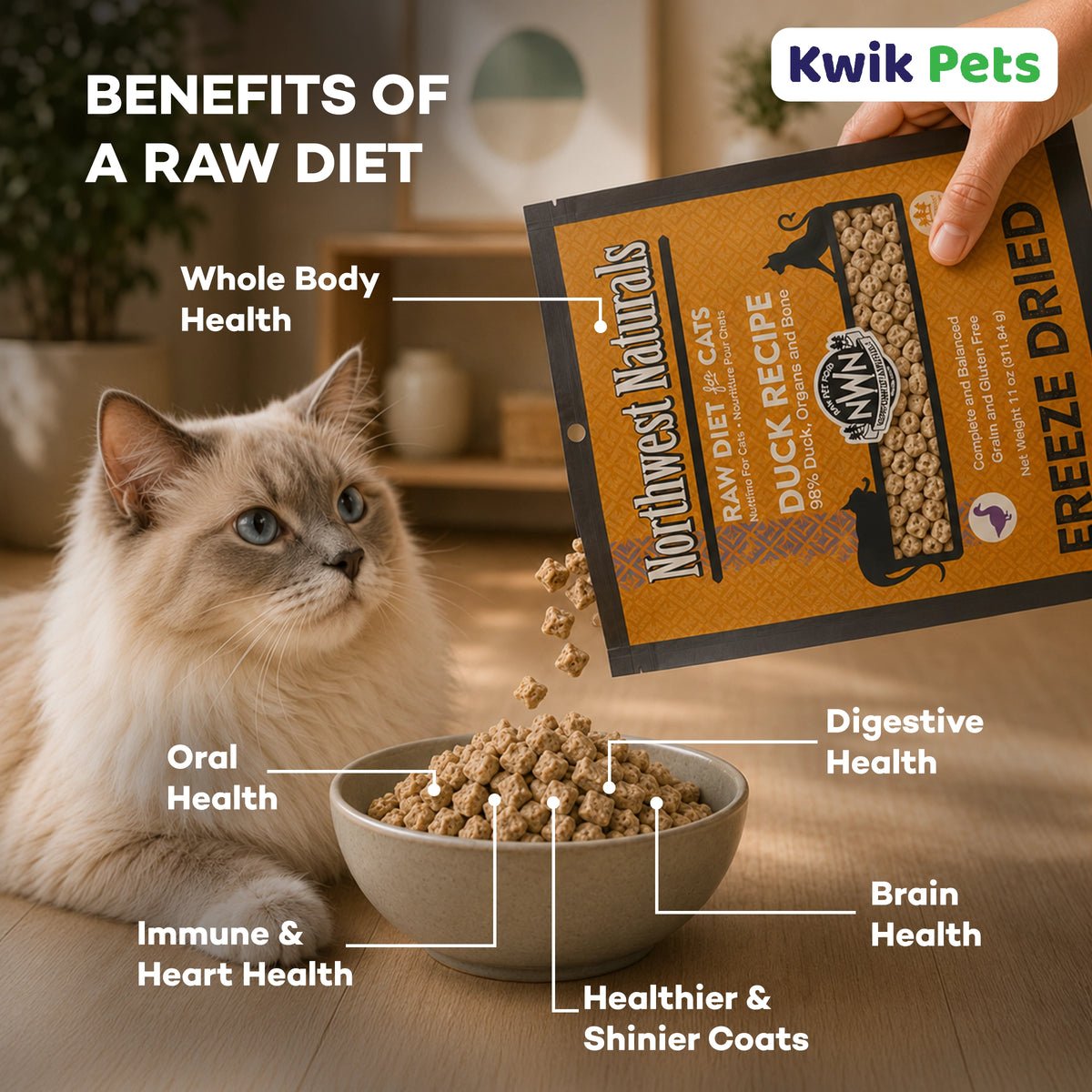 Benefits of  of Northwest Naturals Freeze Dried Raw Diet Cat Food Duck Recipe 11-oz