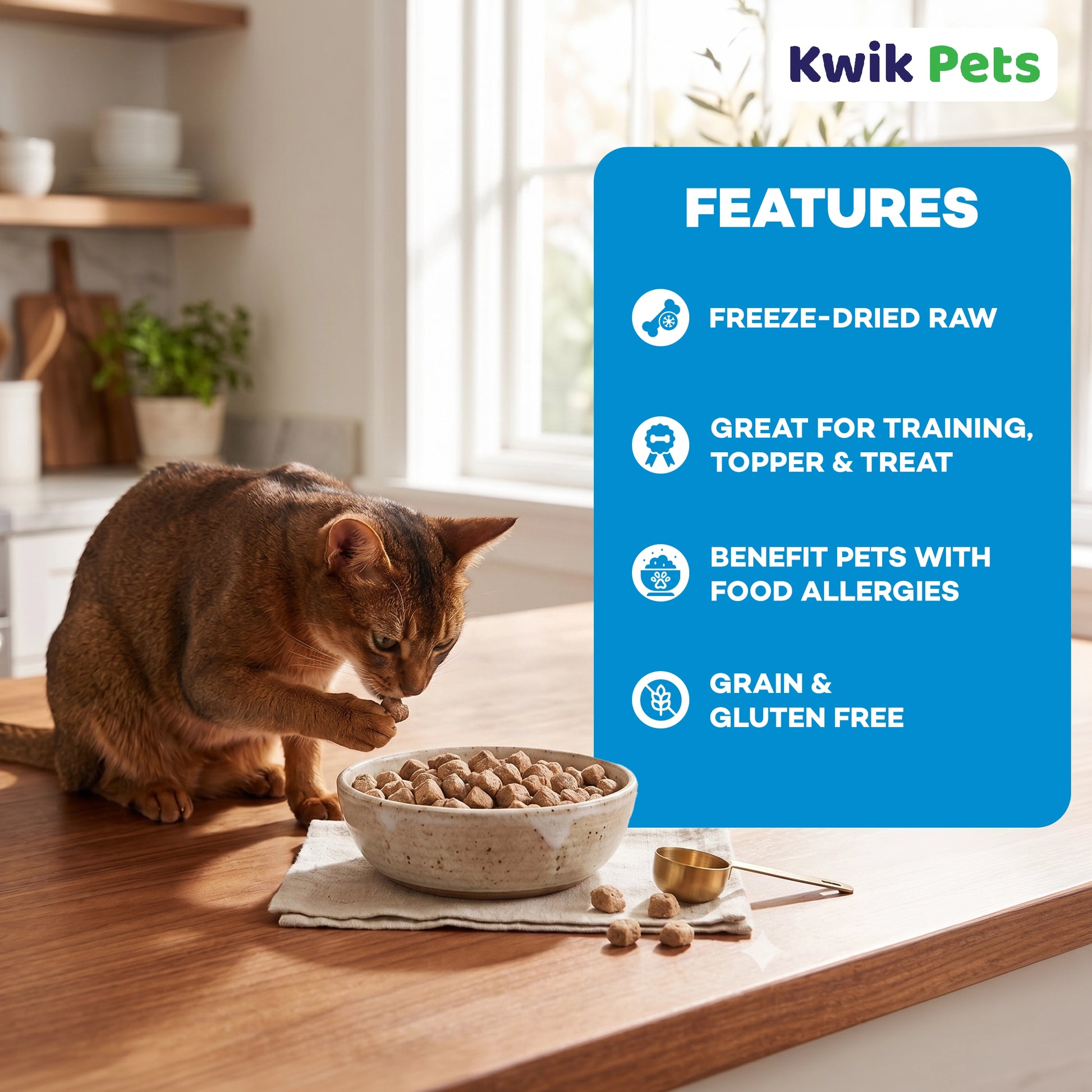Features of Northwest Naturals Freeze Dried Raw Diet Cat Food Turkey Recipe 11-oz