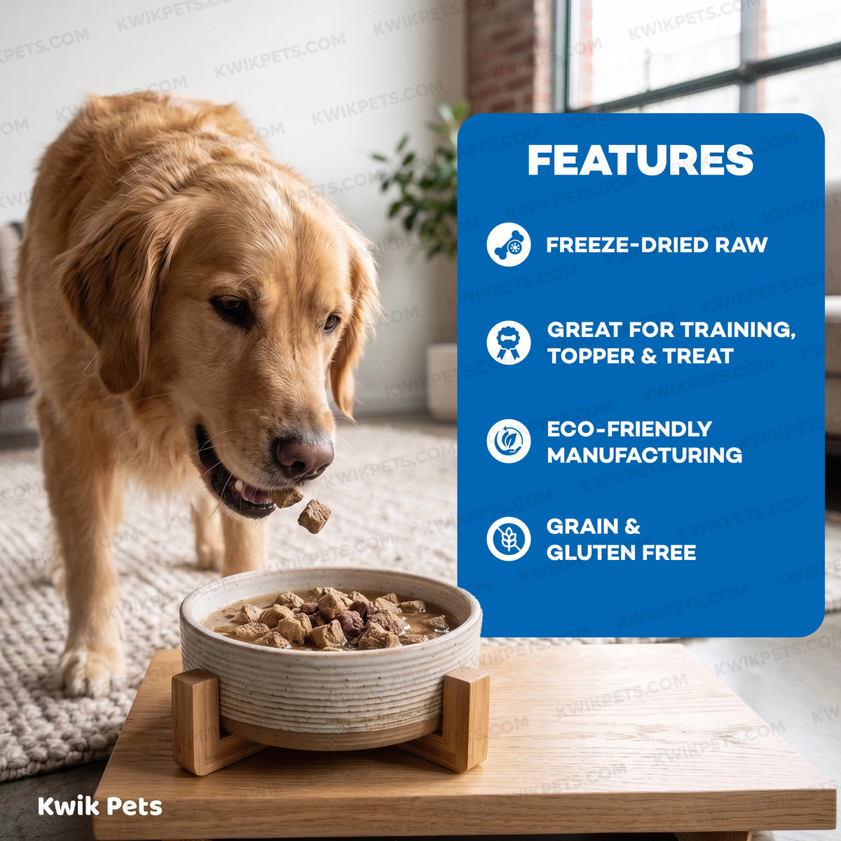 Features of Northwest Naturals Freeze Dried Raw Diet Dog Food Beef & Trout Recipe 25-oz