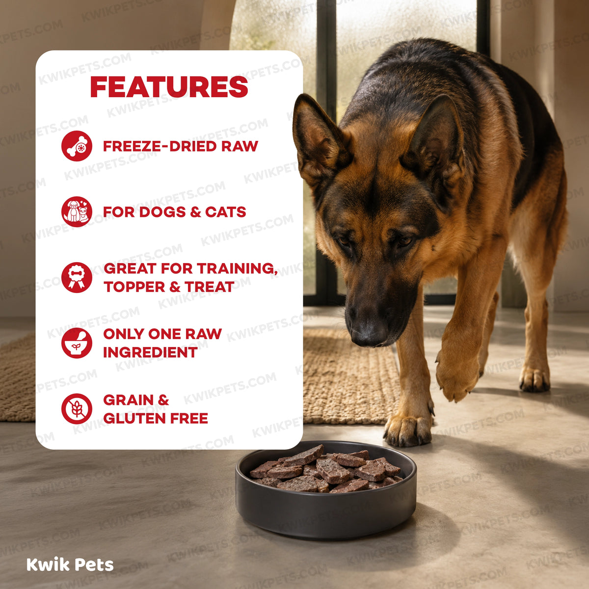 Features of Northwest Naturals Raw Rewards Freeze Dried Dog & Cat Treats Beef Liver 3-oz