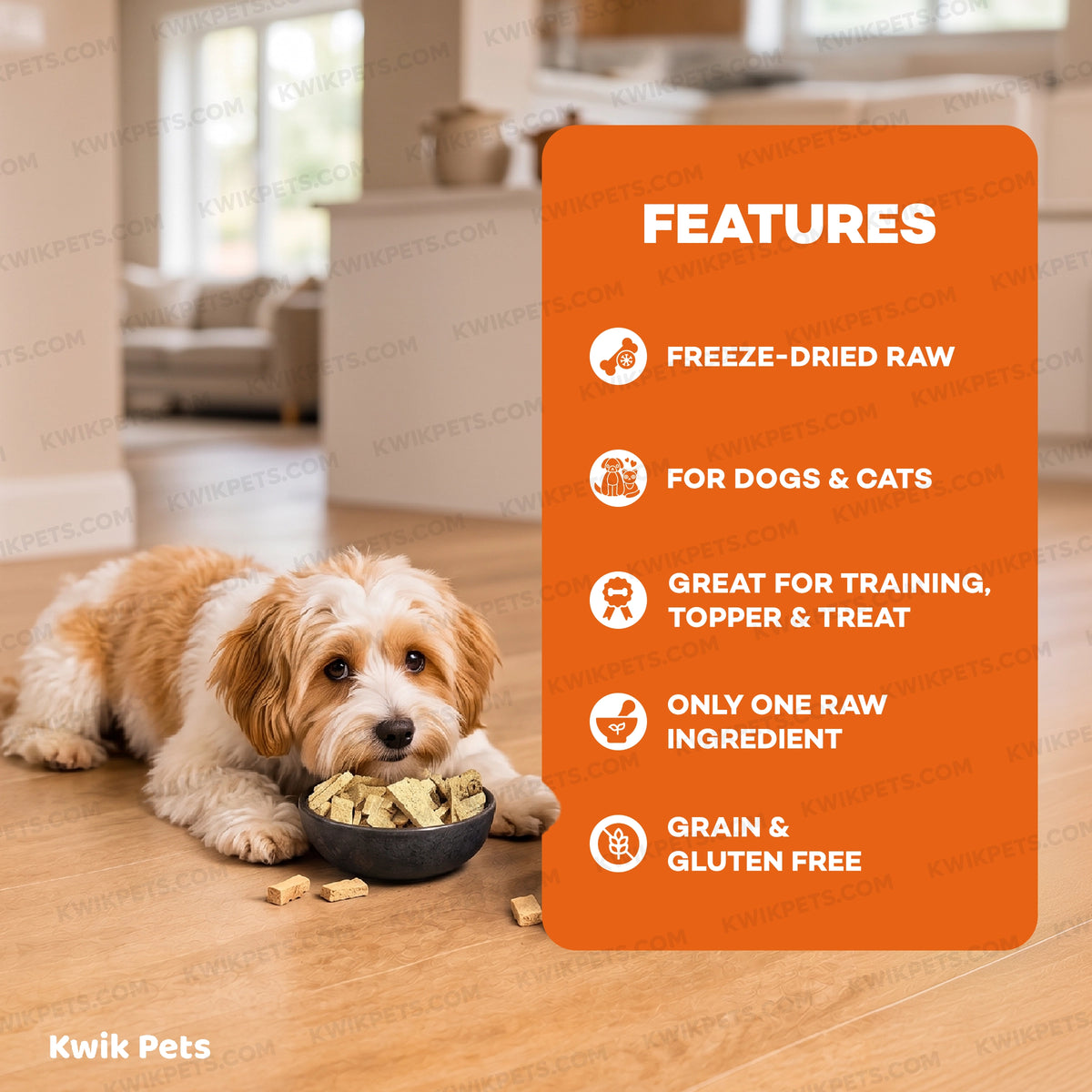 Features of Northwest Naturals Raw Rewards Freeze Dried Dog & Cat Treats Salmon 2.5-oz