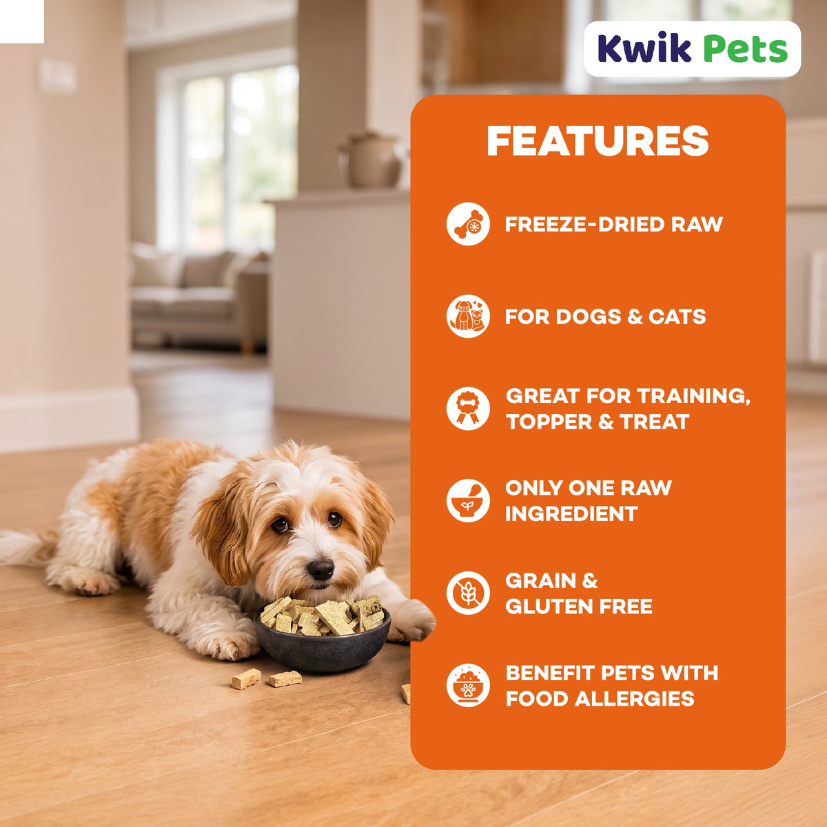 Features of Northwest Naturals Raw Rewards Freeze Dried Dog & Cat Treats Salmon 2.5-oz