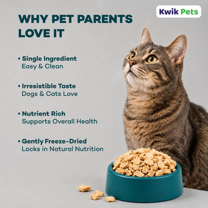 Feature of Northwest Naturals Raw Rewards Freeze Dried Dog & Cat Treats Chicken Breast 3-oz