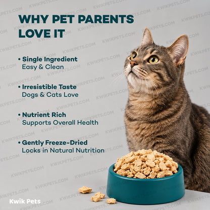 Benefits of Northwest Naturals Raw Rewards Freeze Dried Dog & Cat Treats Chicken Breast 3-oz
