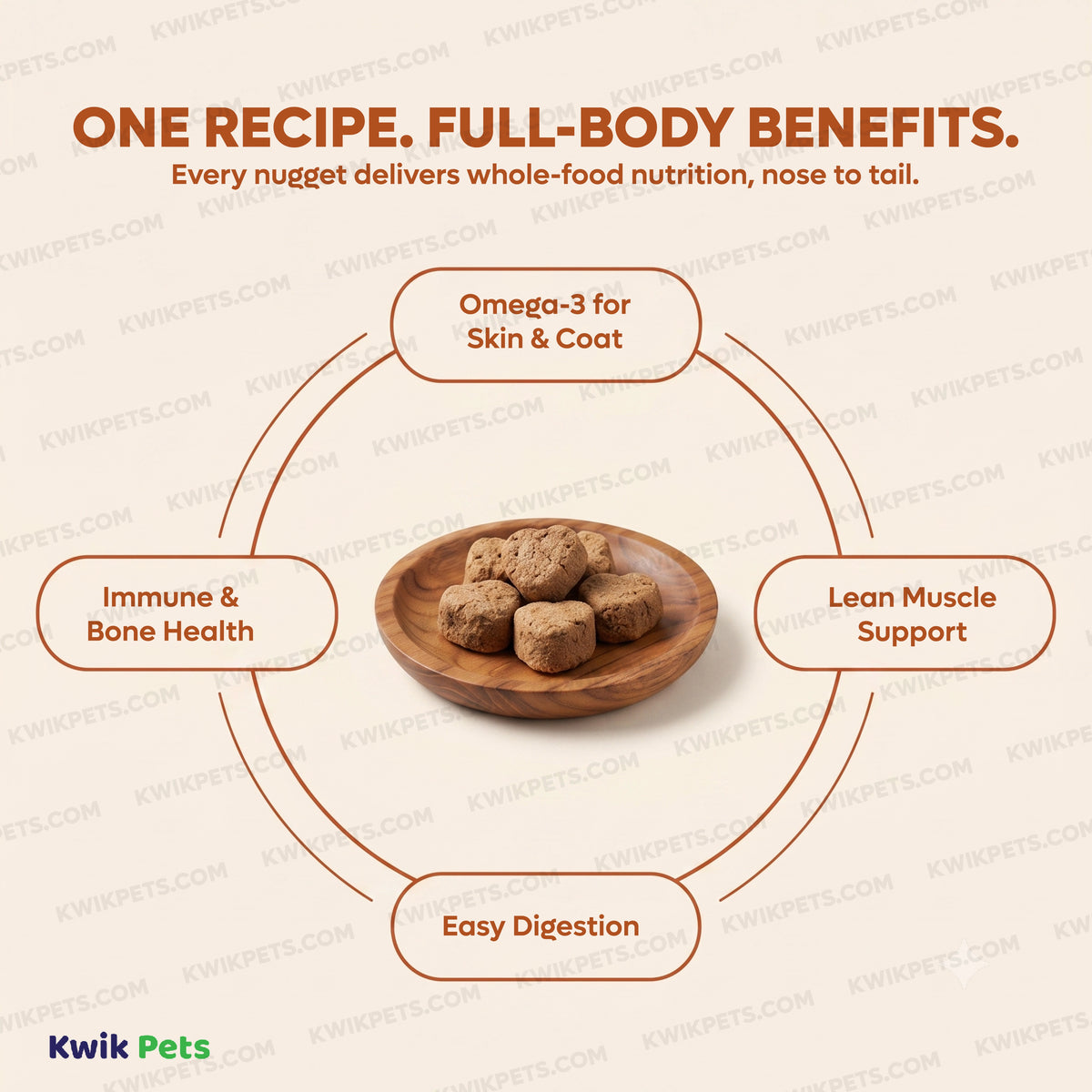 Benefits of Northwest Naturals Freeze Dried Raw Diet Dog Food Chicken & Salmon Recipe 12-oz