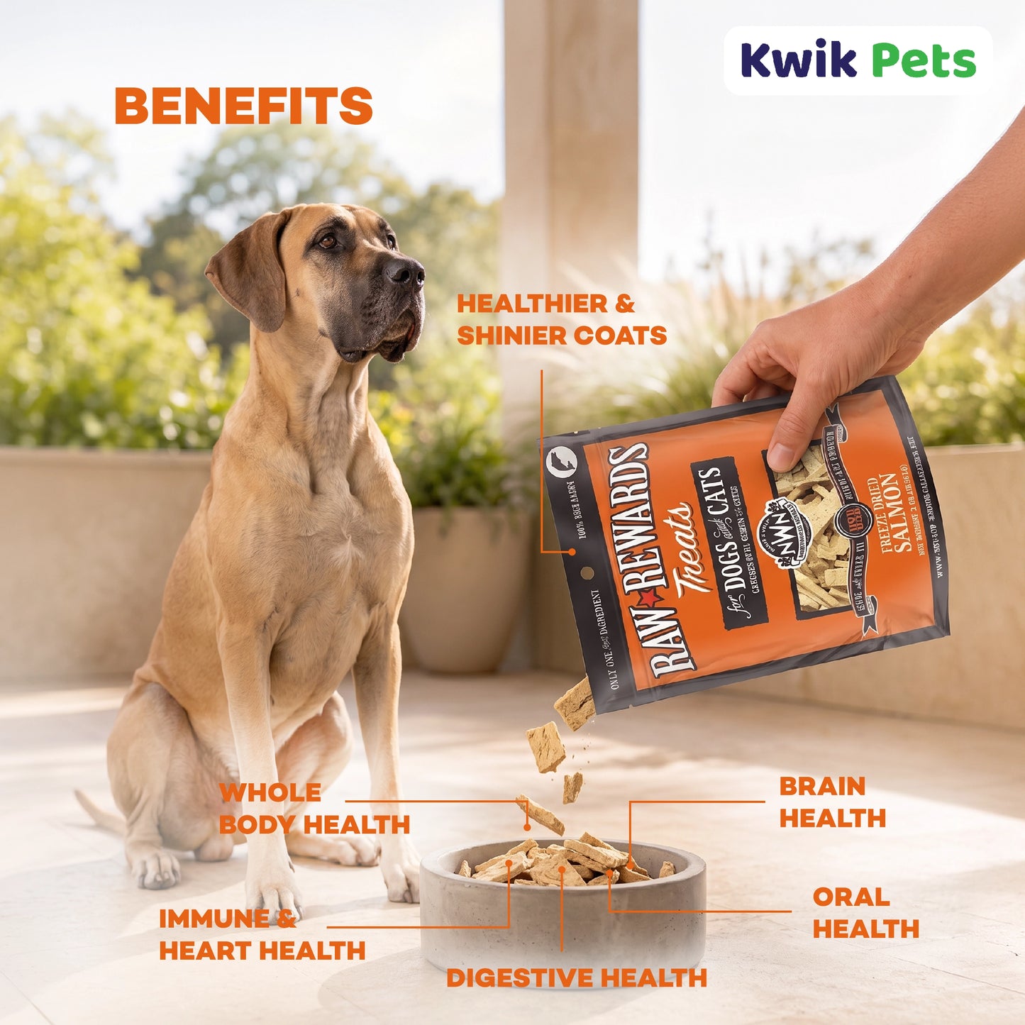 Benefits of Northwest Naturals Raw Rewards Freeze Dried Dog & Cat Treats Salmon 2.5-oz
