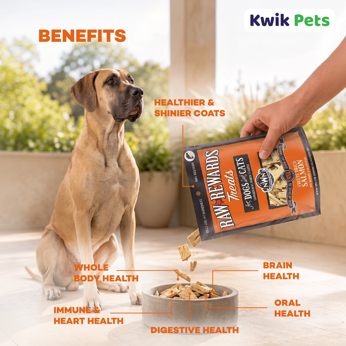 Benefits of Northwest Naturals Raw Rewards Freeze Dried Dog & Cat Treats Salmon 2.5-oz