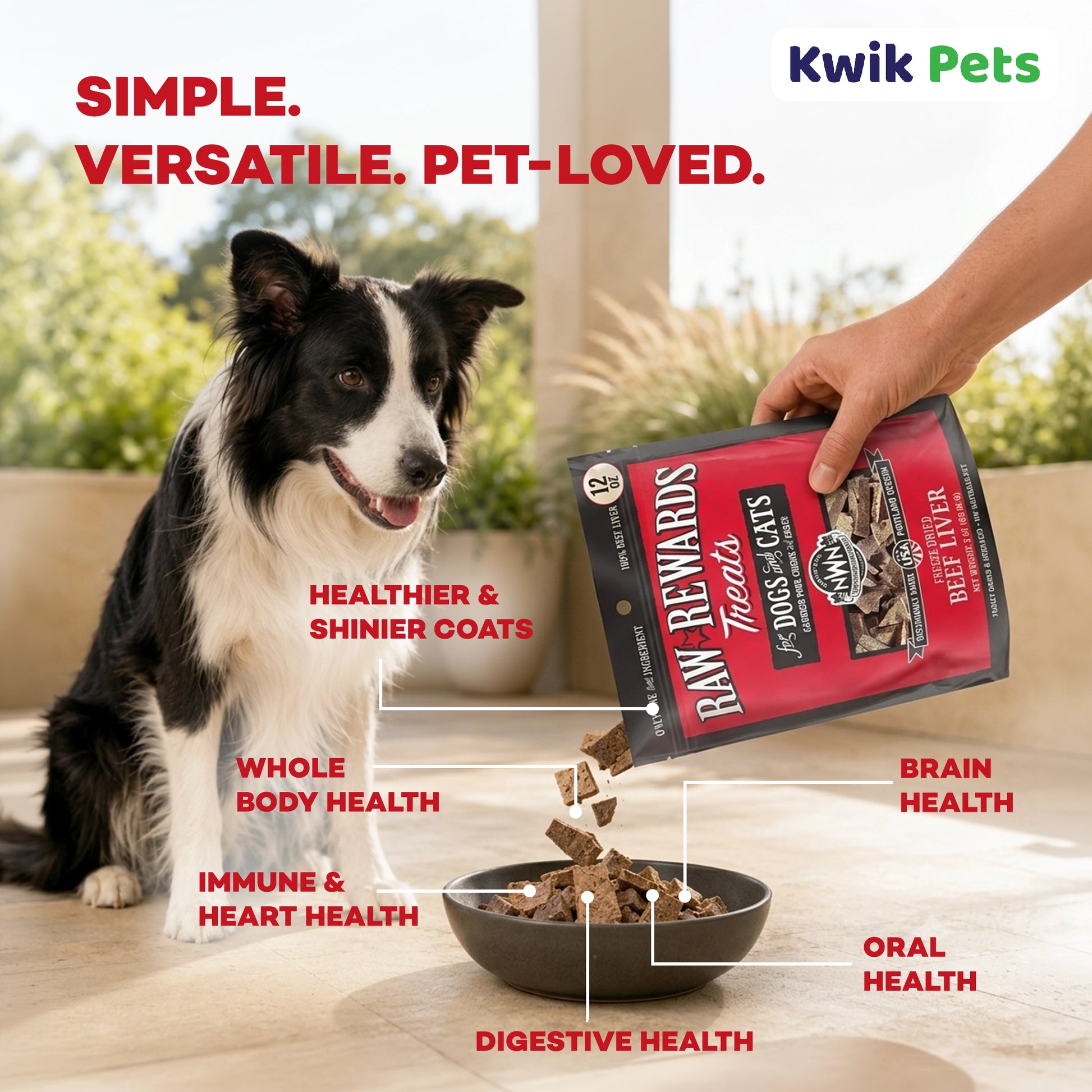 Benefits of Northwest Naturals Raw Rewards Freeze Dried Dog & Cat Treats Beef Liver 3-oz